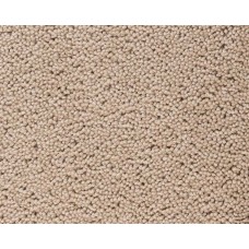 Ковролин Best wool carpets Brunel D10006