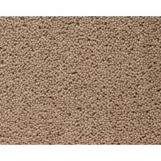Ковролин Best wool carpets Brunel D40008