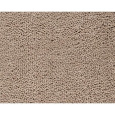 Ковролин Best wool carpets Brunel D40010