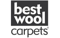 Best wool carpets